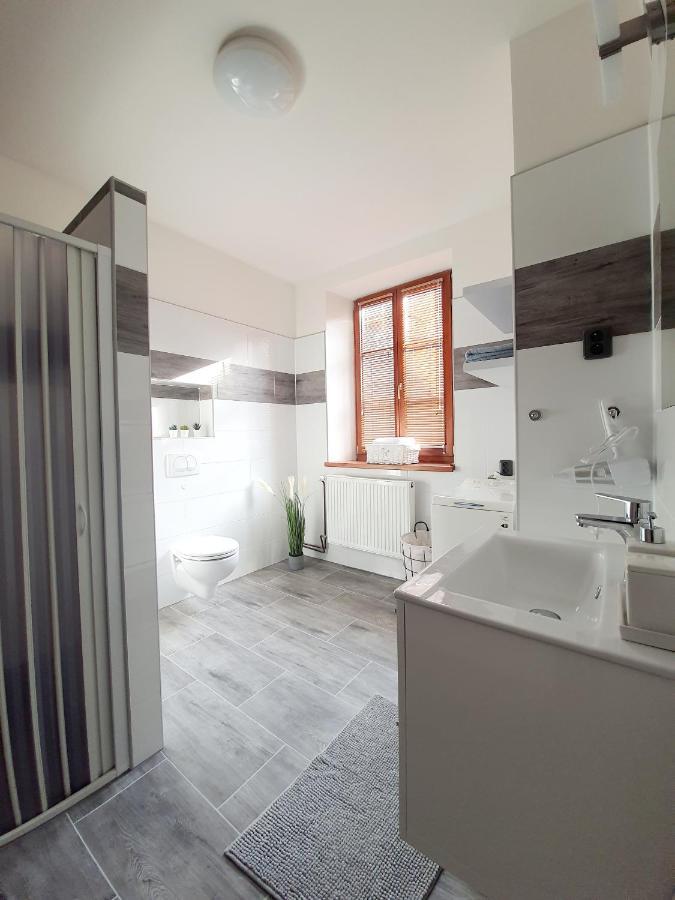 Nový Bor Apartman Spalovka מראה חיצוני תמונה